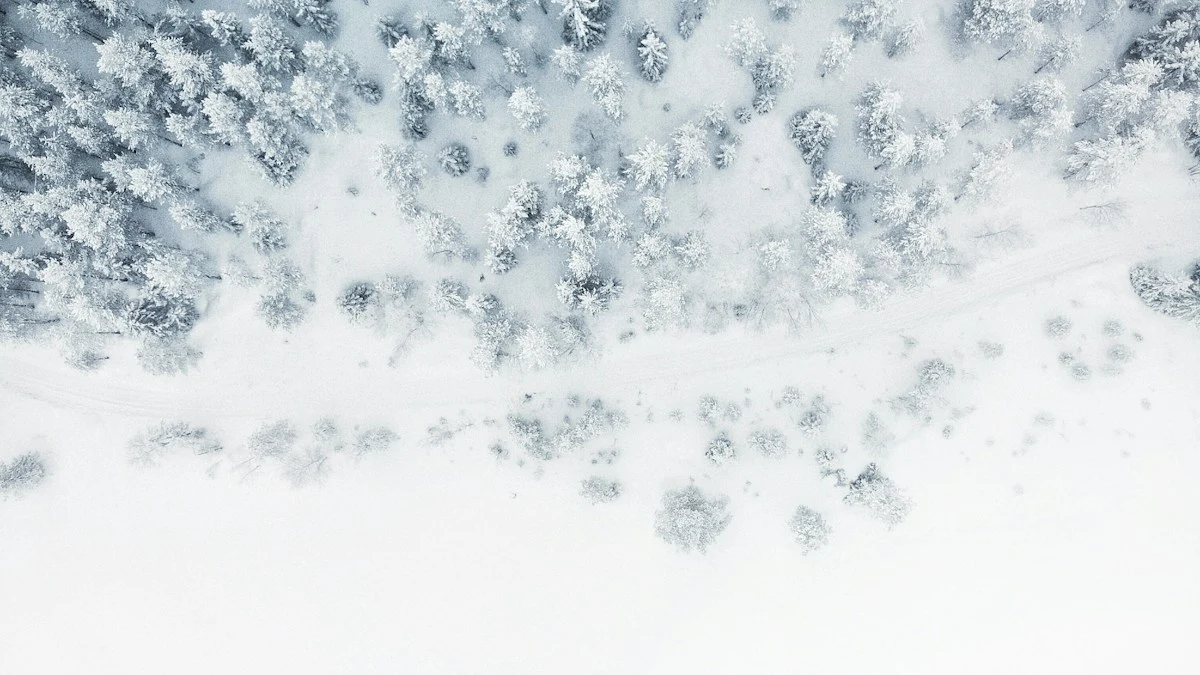 Whole-Body Cryotherapy Chambers in 2026: Electric Refrigeration vs. Liquid Nitrogen (CryoBuilt vs. MECOTEC vs. Impact Cryo Thermal Penetration & Safety Forensics)