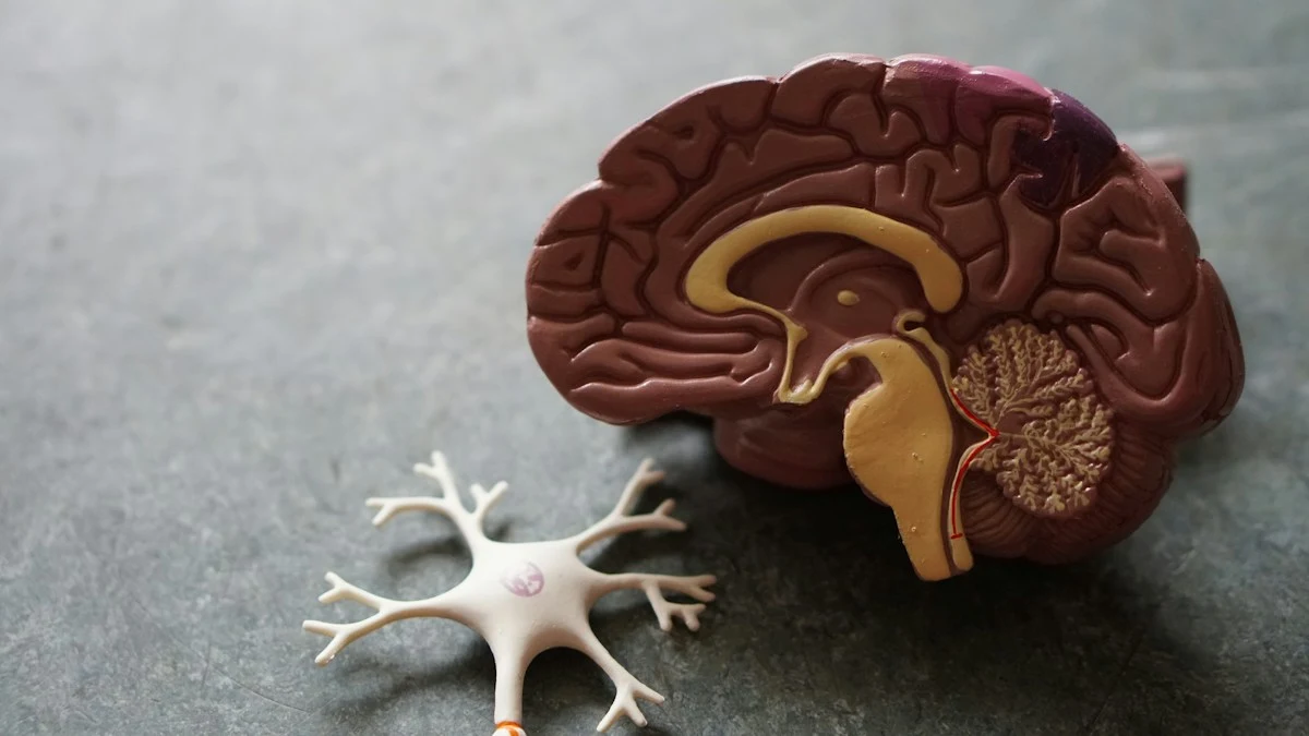 Consumer tDCS & tACS Neurostimulation Headsets in 2026: Neuphony vs. Focus v3 vs. ActivaDose (Anode/Cathode Montages, Current Leakage & Motor Cortex Priming)